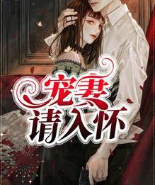 宠妻请入怀封面