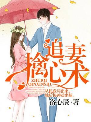 白洛瑶靳北全文免费阅读无弹窗封面