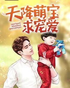 天降萌宝求宠爱封面