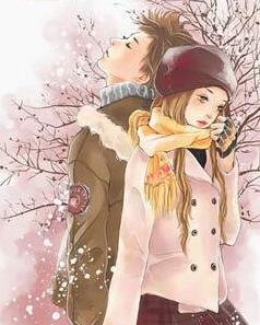 先生别招蜂引蝶封面