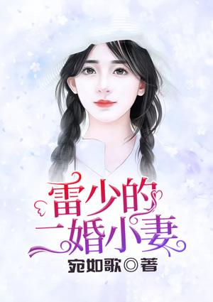 安雪雷从光封面