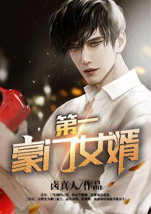 第一豪门女婿封面