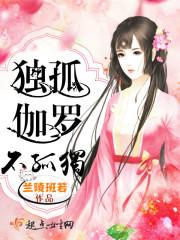 夏芸霍沐宇全文免费阅读封面