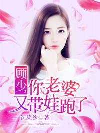 顾少,你老婆又带娃跑了封面