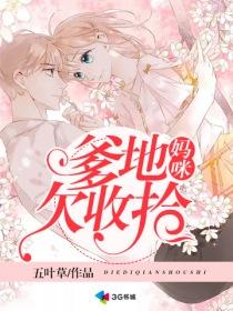 聂婉柔李承决小说封面