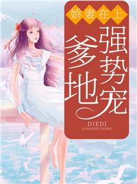 宫夜寒夏千瓷封面