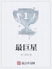 灿烂启明星小说免费阅读封面