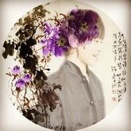 浅草带疏烟林雪苏景辰封面