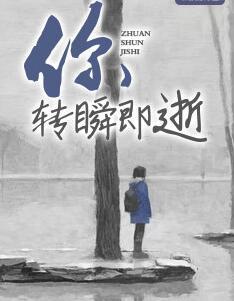 你转瞬即逝封面