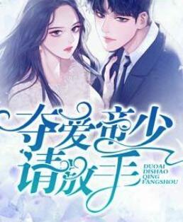 女主林辛言男主宗景灏免费阅读封面