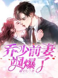 乔少前妻飒爆了封面
