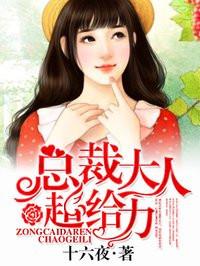 总裁大人超给力封面