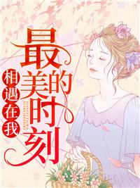 相遇在我最美的时刻封面