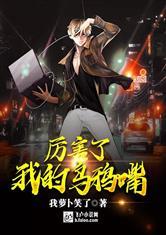 书名是陆玖兮伍齐昭封面