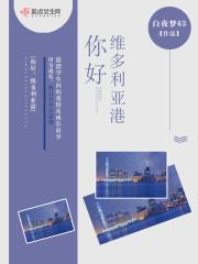 禁欲大佬的闪婚妻封面