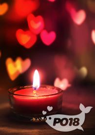 掌上明珠（伪父女）封面