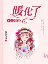 林子晴冷夜渊封面