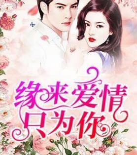 傲娇双宝：总裁爹地惹不起封面