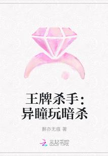 盛晨晨傅照鸣封面