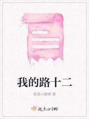 关于例外：田霁月乔醇封面