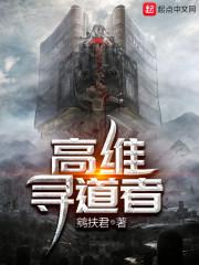 高维寻道者封面