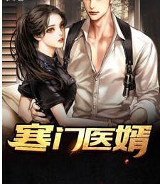 寒门医婿封面