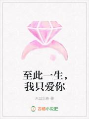 傅斯辰沈星洛小说封面