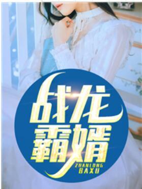 战龙霸婿封面