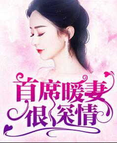 首席暖妻很深情封面