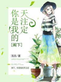 沈倾慕墨啸风封面