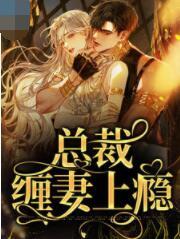总裁缠妻上瘾封面