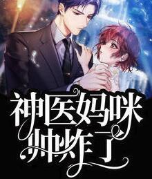 一胎三宝：夫人哪里逃！封面