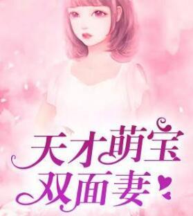 我的战机是洞天法宝封面