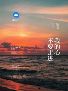 不要走进我的心封面