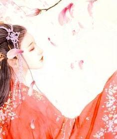 神医小毒后慕卿九封面