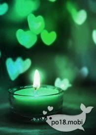 李婉柔陈峰小说封面