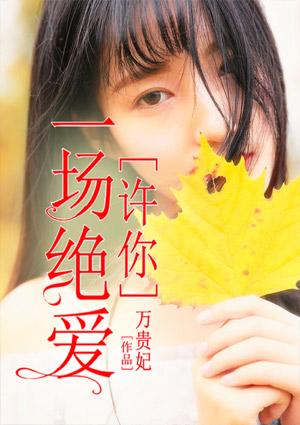 阮昕薇裴晏琛封面