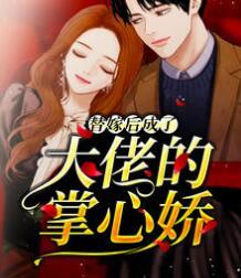 替嫁后成了大佬的掌心娇林晚澄沈斯宸封面