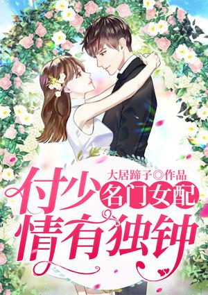 苏梦瑶付景纶封面