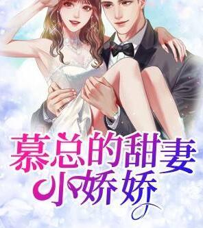 沐晚晚慕西庭小说免费阅读封面