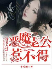 乔蓓傅容璟小说封面