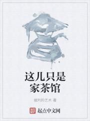 苏向晚宋青山封面