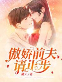 傲娇前夫请止步封面