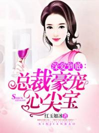 夏殊悦季安沉言情小说封面