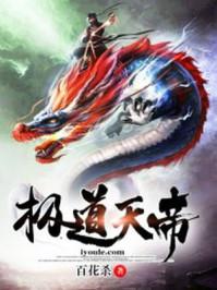 江岚雪顾允修小说封面