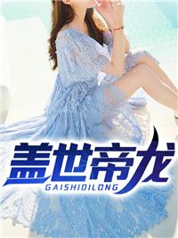 盖世君皇叶孤城封面