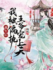 叶无依沈玉封面