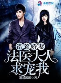 乔茶语纪天凡小说封面