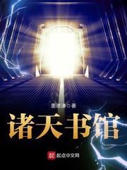 沈楠舒顾时易封面