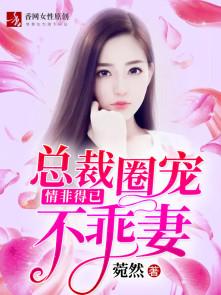 沈南星陆安离封面